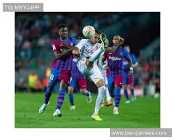 布朗本赛季第13次砍下30+，上赛季含季后赛仅10次